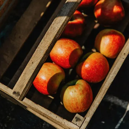 Вилла La Maison Pomme - Maison De Charme, Vue Bocage & Piscine - Бёврон-ан-Ож