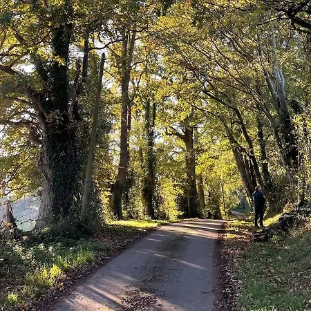 Вилла La Maison Pomme - Maison De Charme, Vue Bocage & Piscine - *