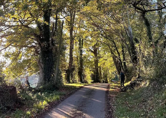 Villa La Maison Pomme - Maison De Charme, Vue Bocage & Piscine - *